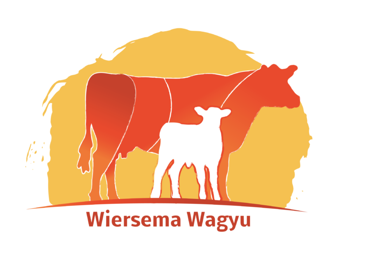 Premium Wagyu worstjes / saucijzen (per 2 stuks)