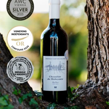 Chevalier de Malecoste 2022 – Krachtige Cahors bij Wagyu